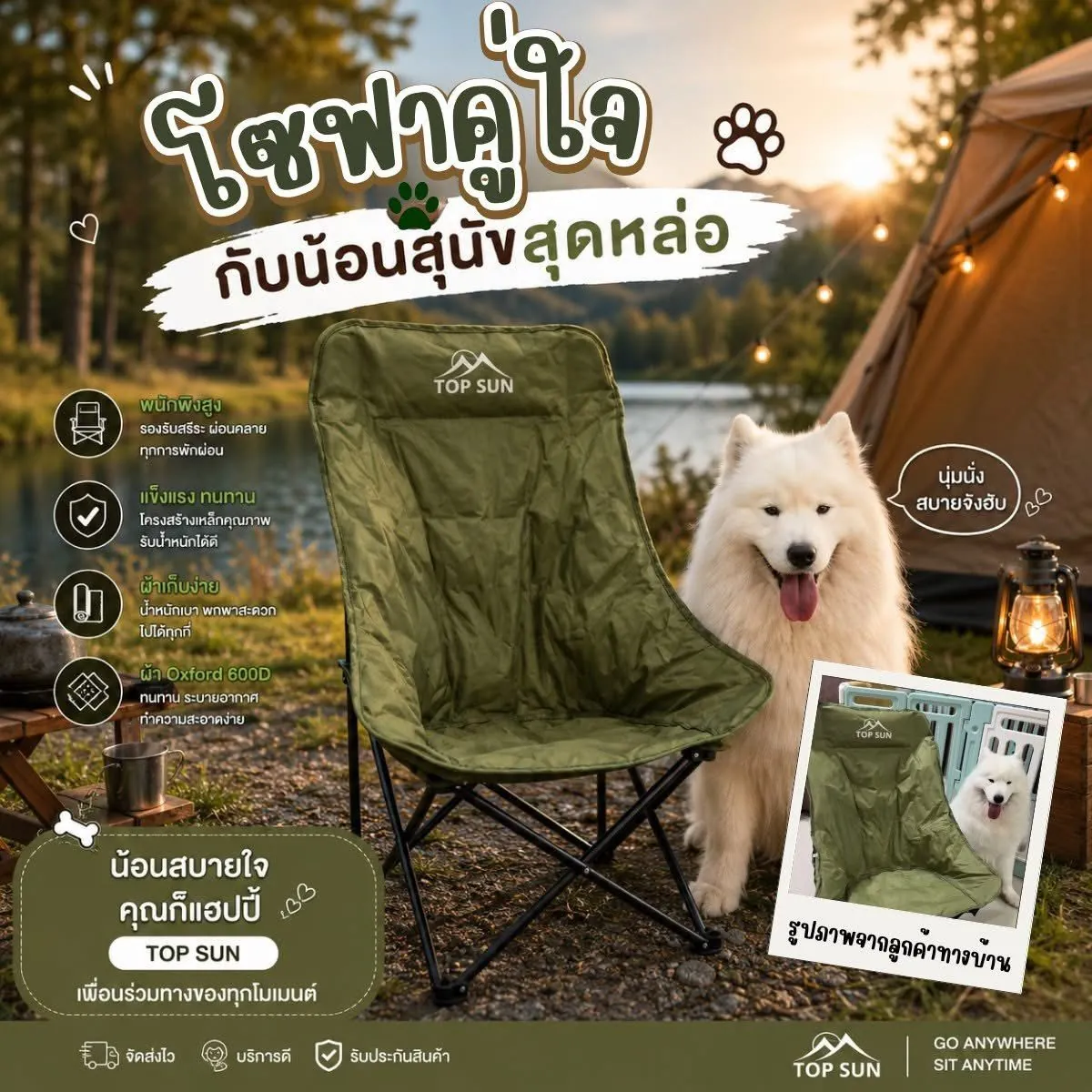 Samoyed on a TOPSUN chair