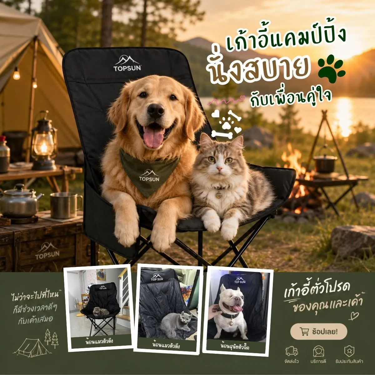 Golden retriever and cat on TOPSUN chairs at campfire