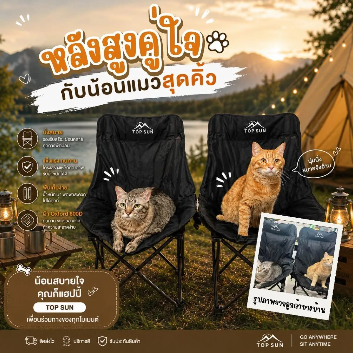 Two orange cats napping on TOPSUN chairs